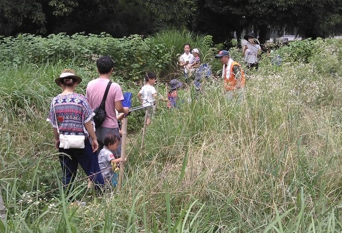 7月頃の野草広場の写真です