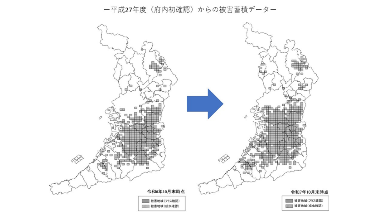 被害地域の推移