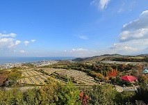 泉南メモリアルパーク遠景