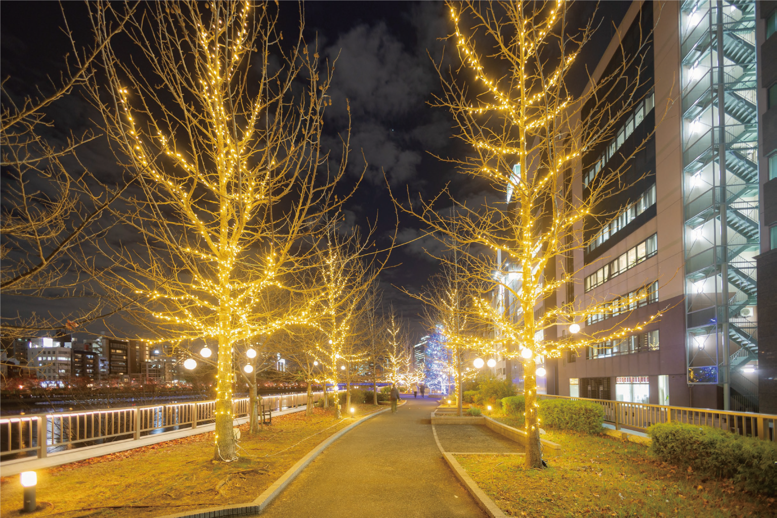 八軒家浜：光の散歩道