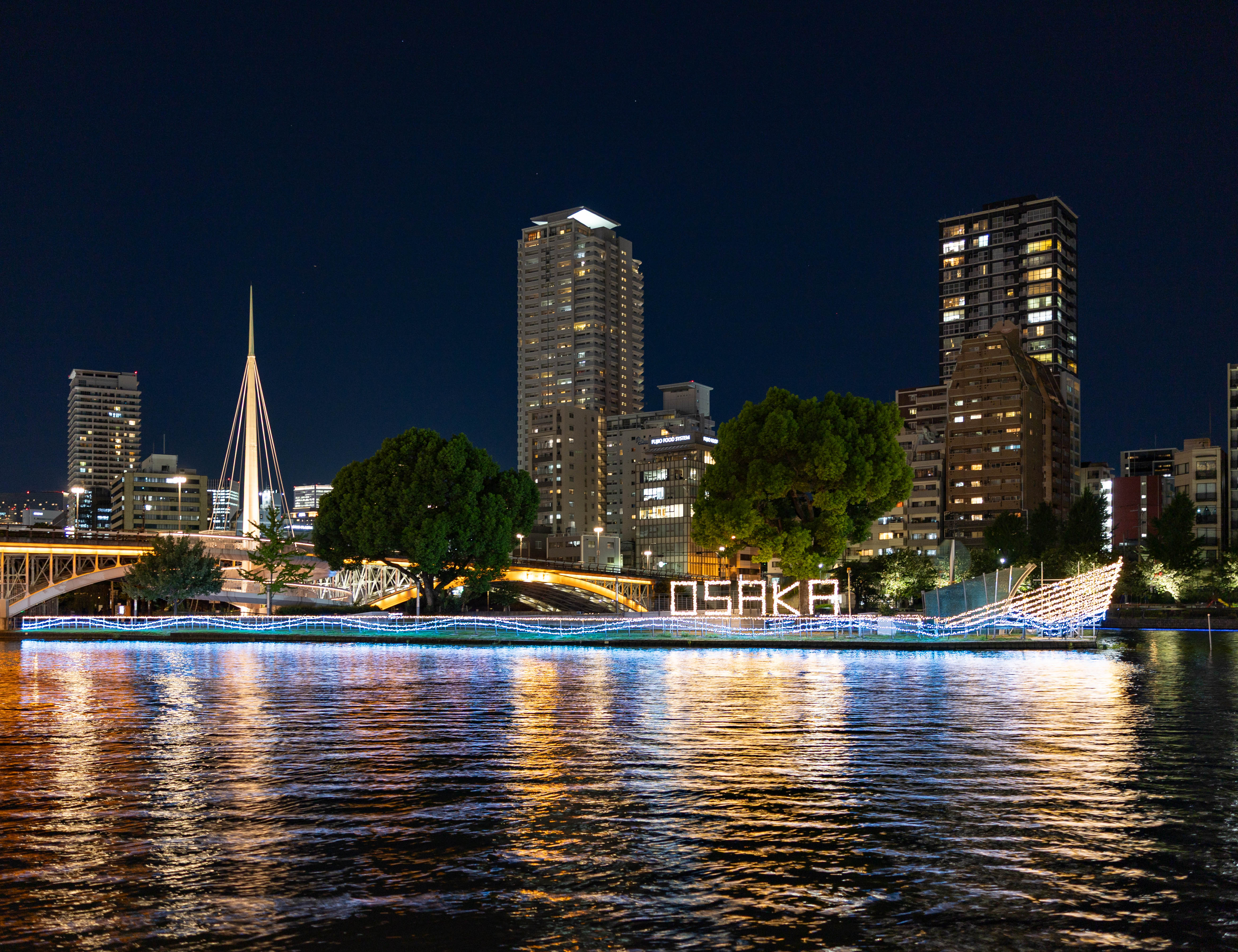 中之島公園東部のイルミネーション