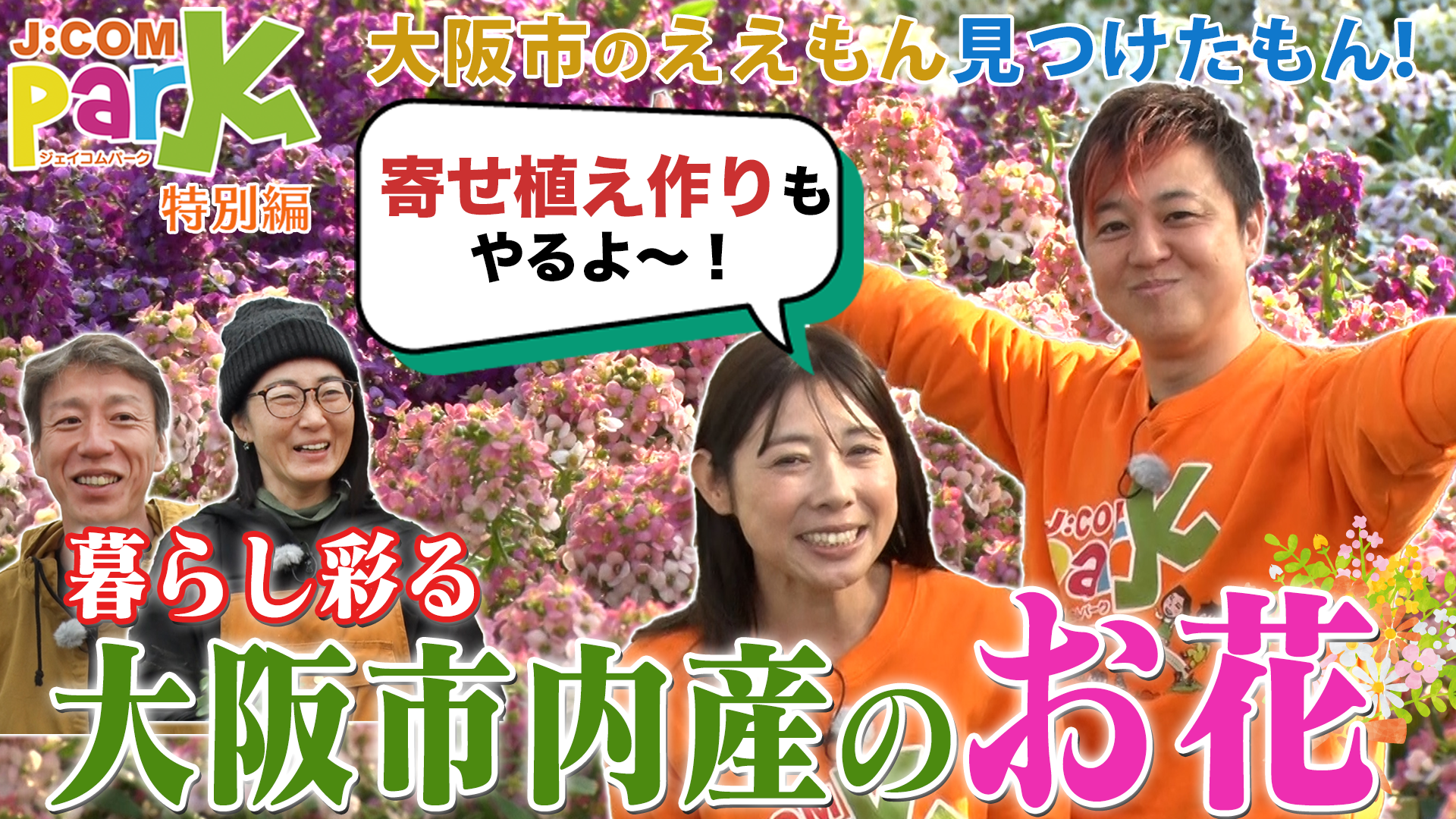 画像をクリックすると動画サイトに移行します。