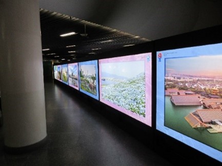 展示の様子