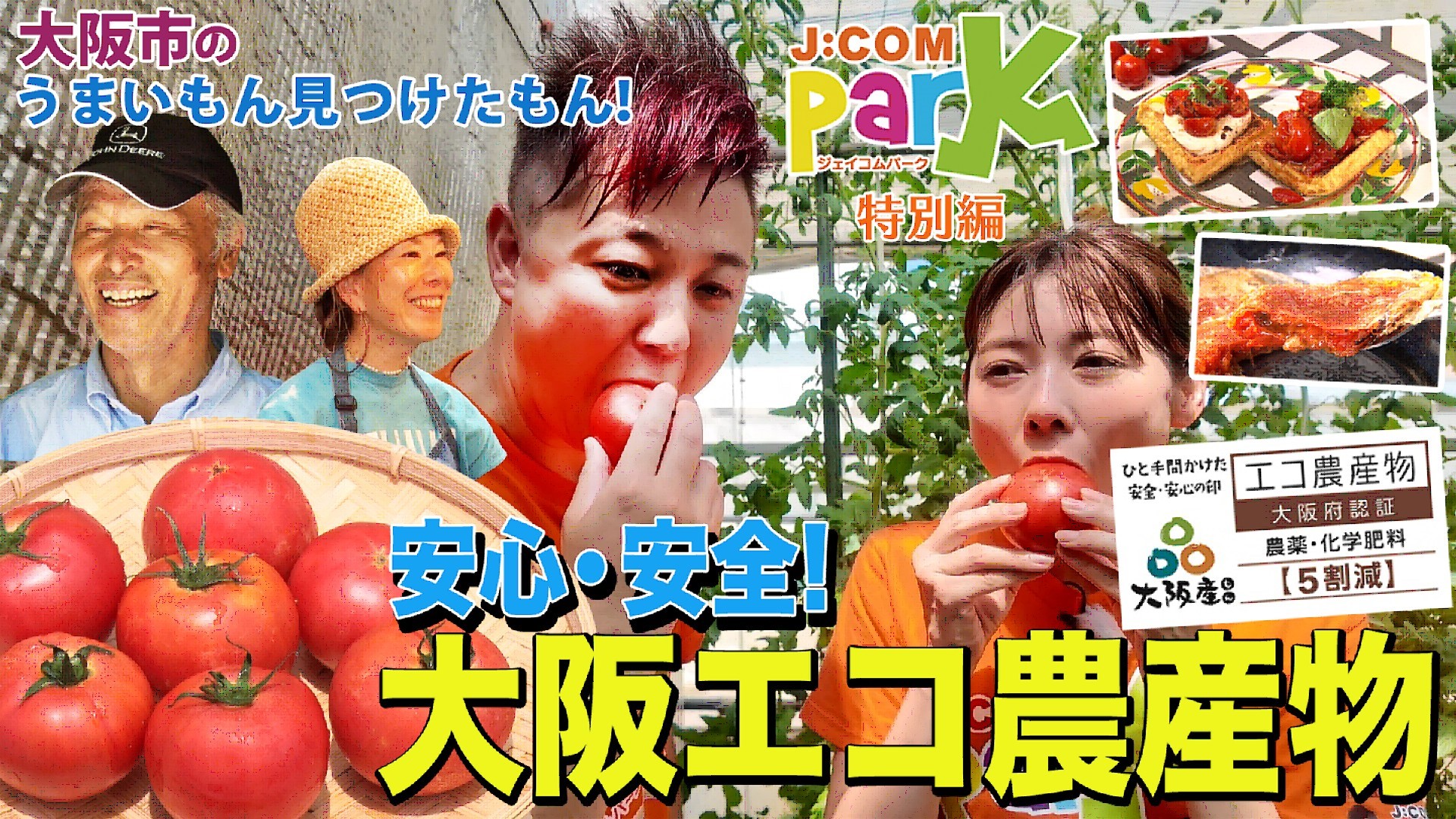 画像をクリックするとYouTubeページに移ります。