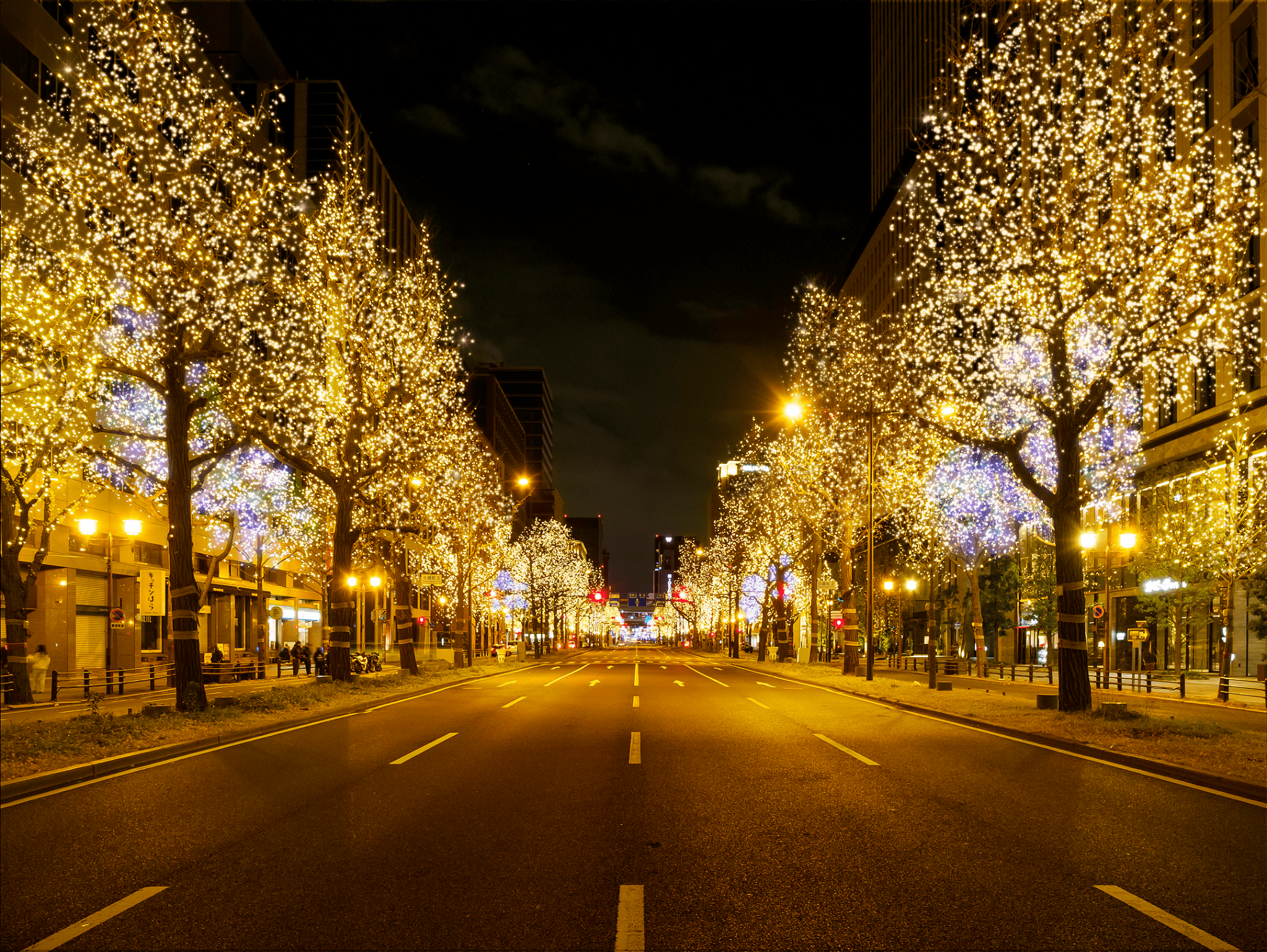 御堂筋イルミネーションイメージ