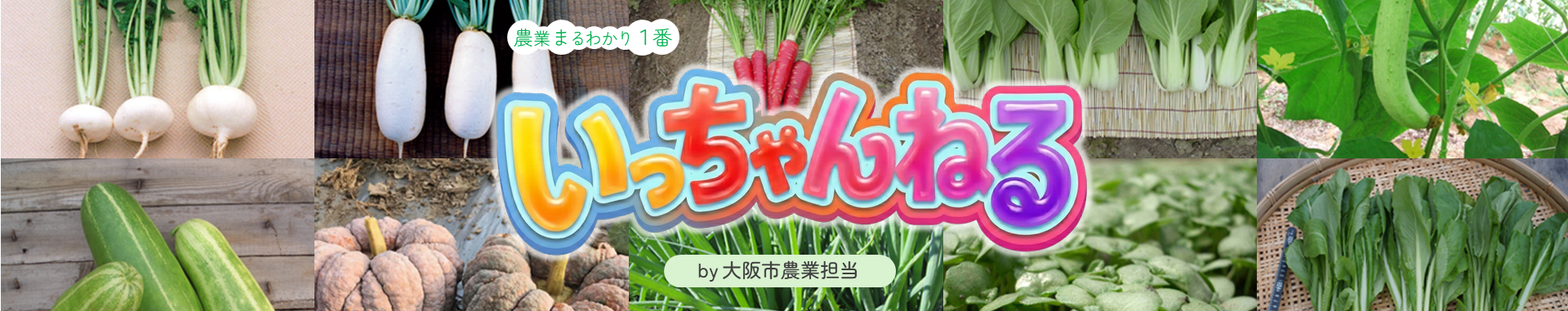 農業まるわかり1番いっちゃんねるby大阪市農業担当