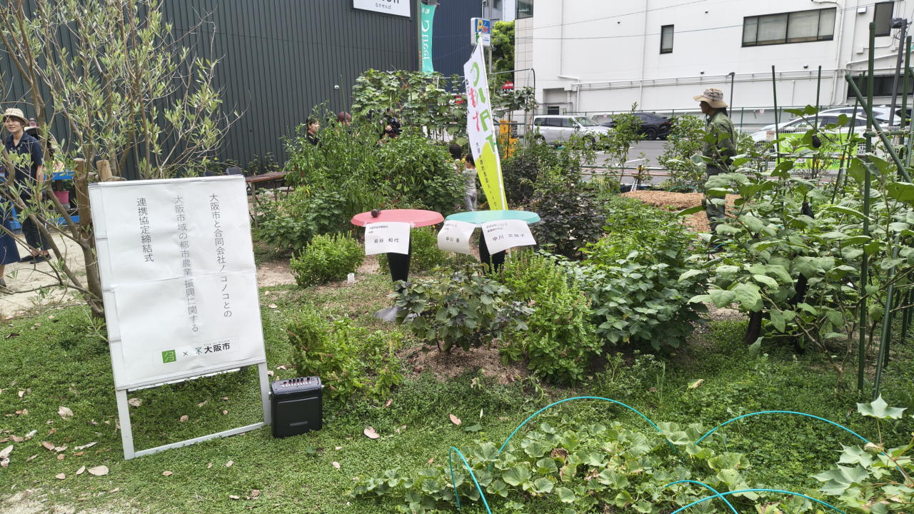 cotonなかせんば