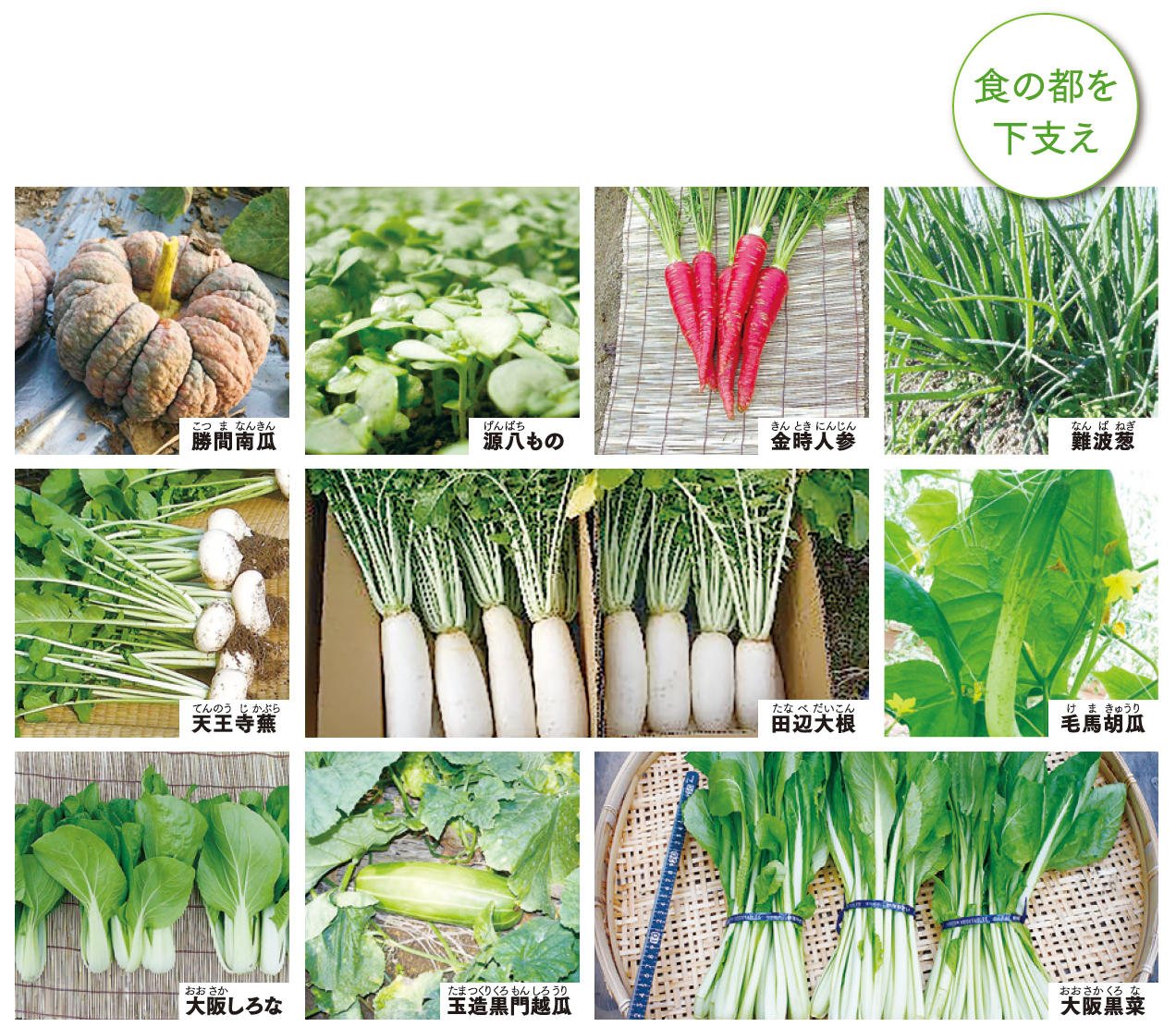 なにわの伝統野菜　食の都を下支え