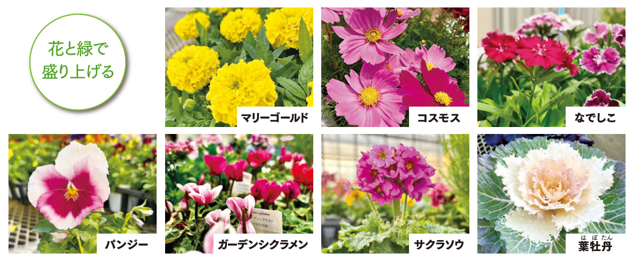 花き　花と緑で盛り上げる