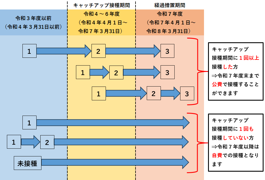 キャッチアップ接種の経過措置対象者をわかりやすく示した図
