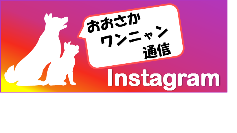 インスタグラムへのリンク