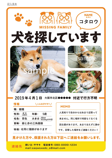 大阪市 迷子動物の捜索ポスターが無料で御利用いただけます ペット 動物 お知らせ