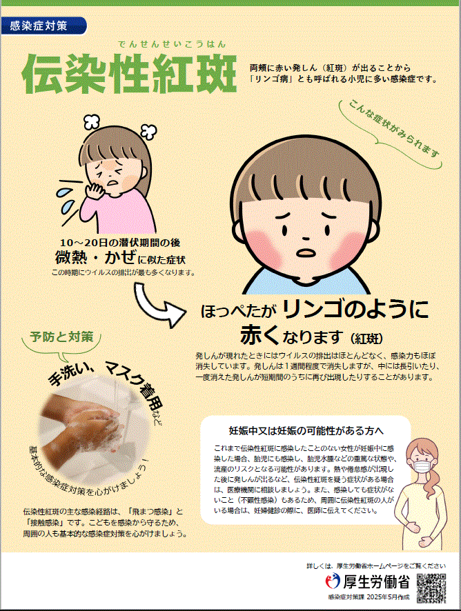 伝染性紅斑予防啓発リーフレット（PDF）