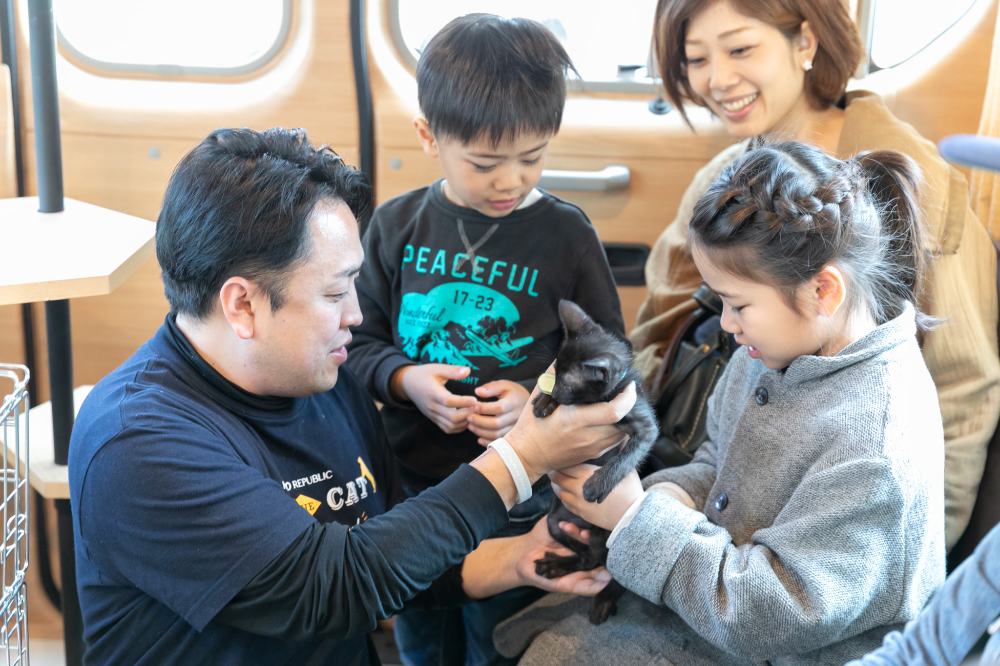 ネコのバス内部のイメージ