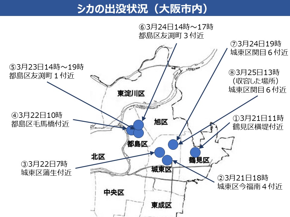 シカの出没状況