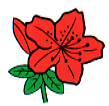 区の花のイラスト