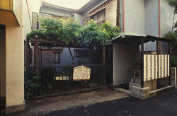 「野田の藤跡」の写真
