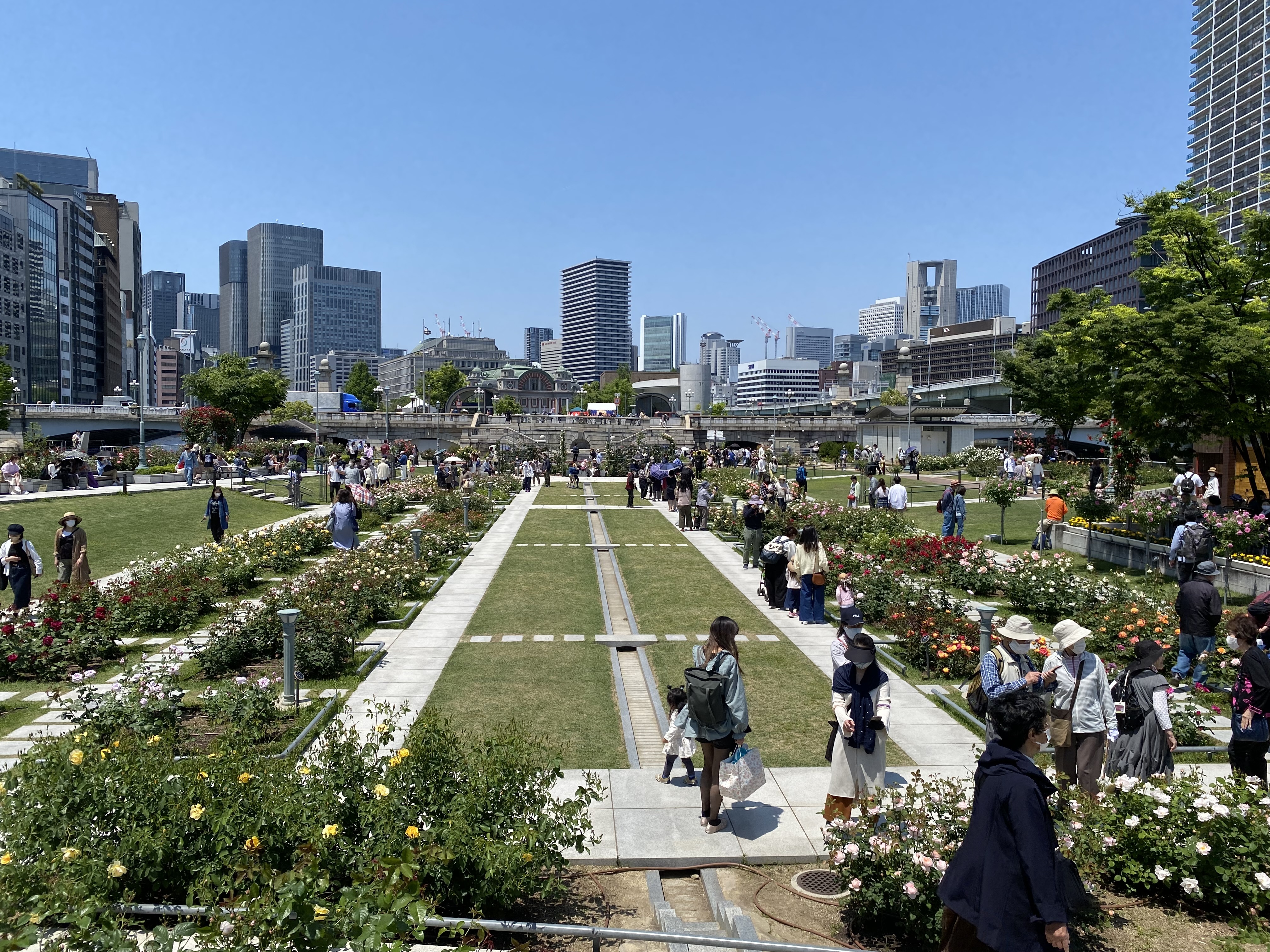 中之島公園バラ園の画像1です。