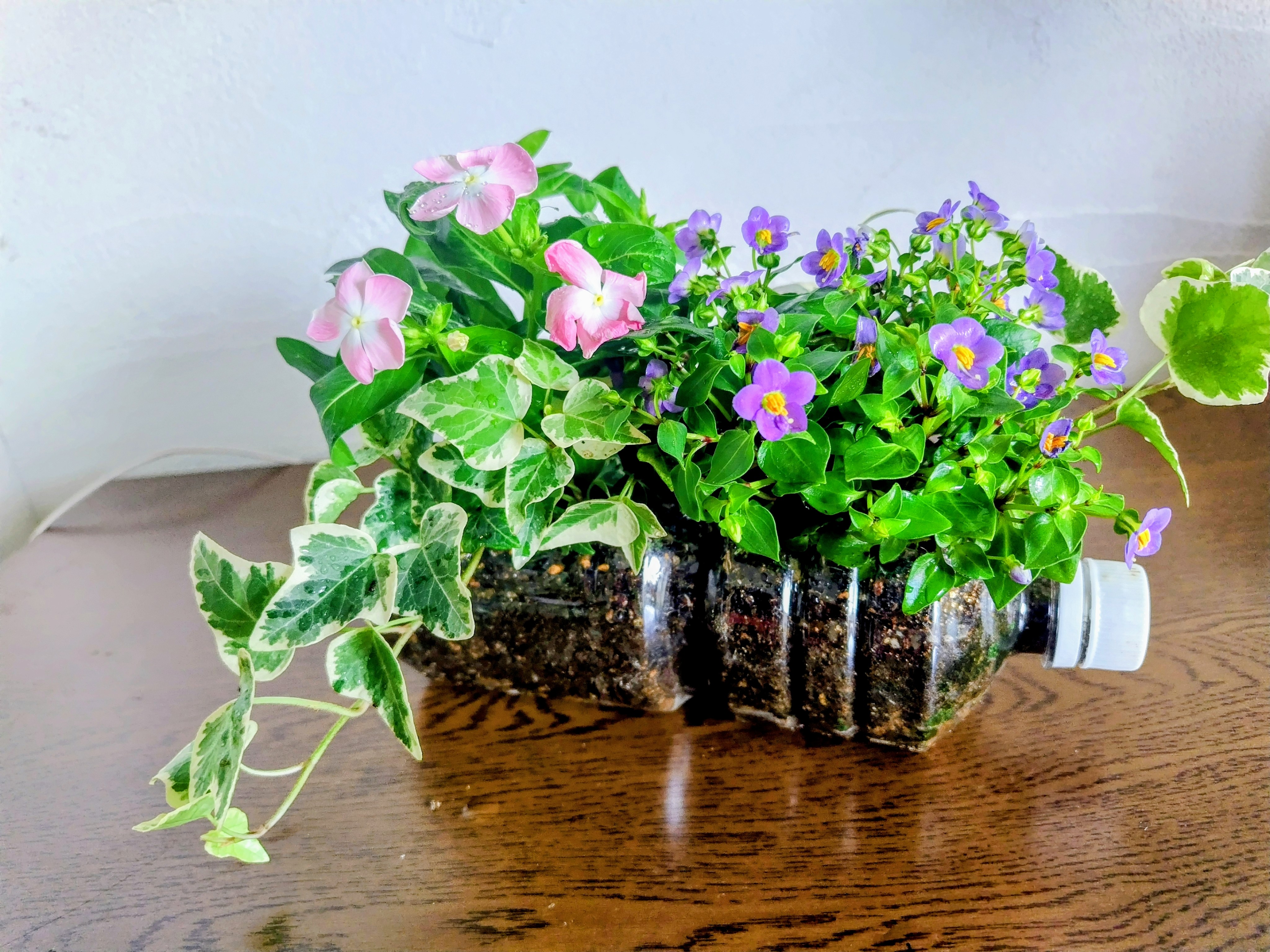 （寄せ植え教室）イメージです。実施のものとは異なる可能性があります。