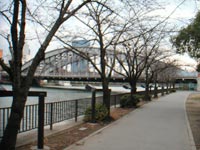 桜之宮公園／写真