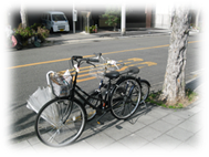 放置自転車の写真