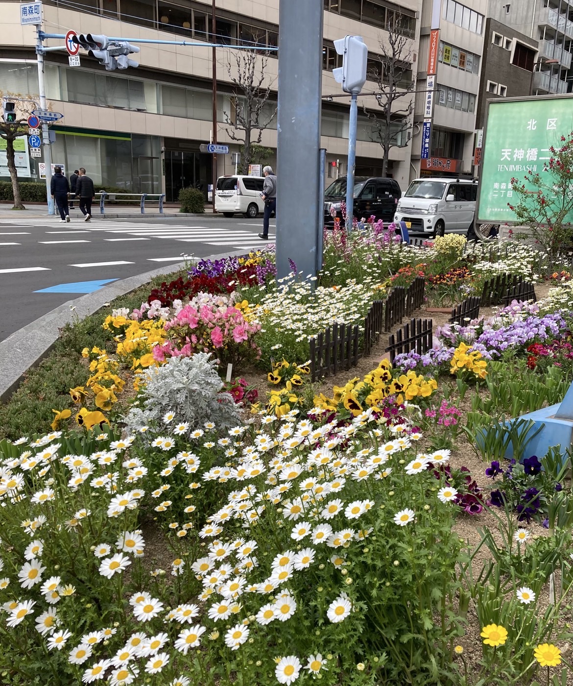 花壇のお世話の様子