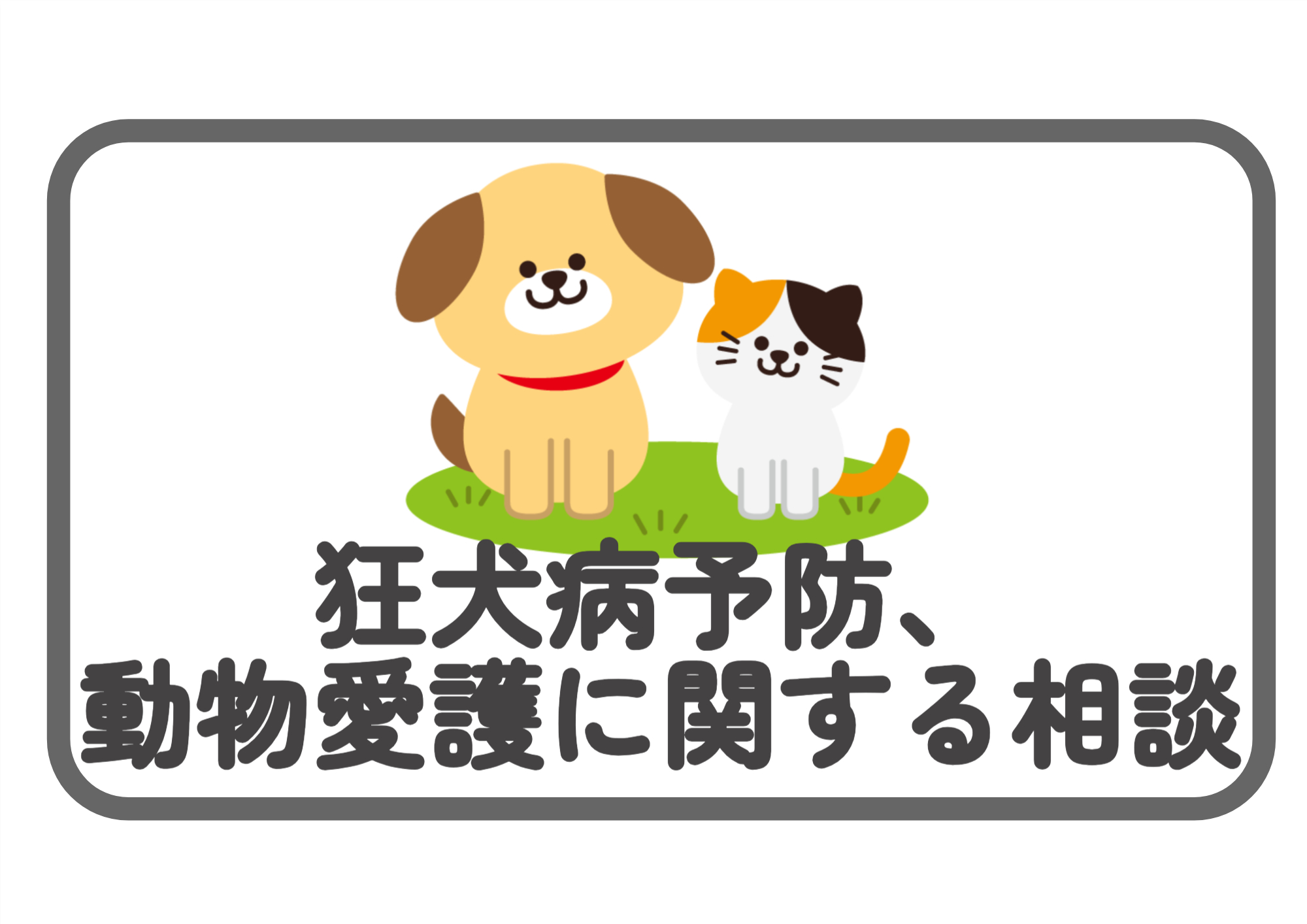 狂犬病予防、動物愛護に関する相談