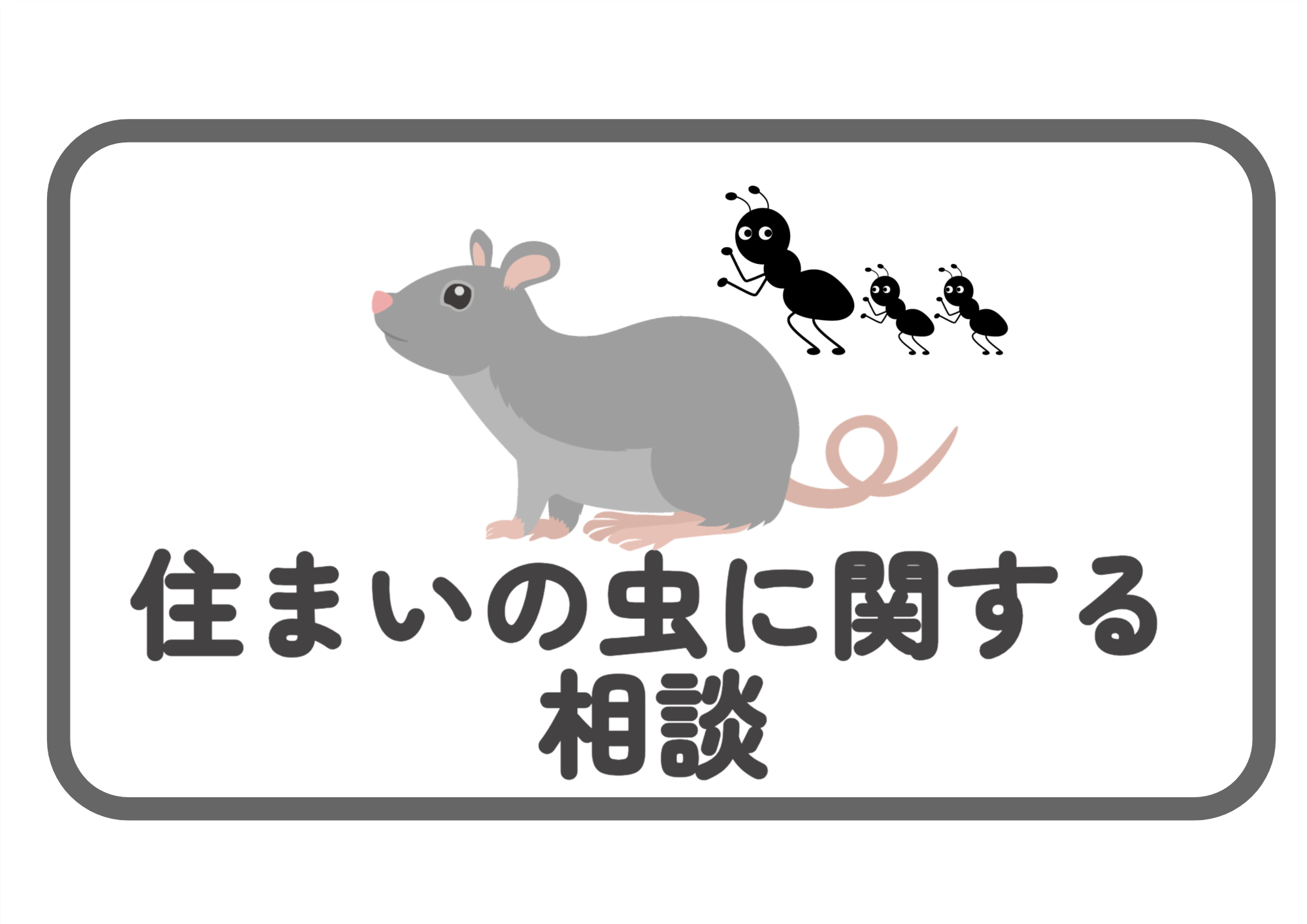 住まいの虫に関する相談