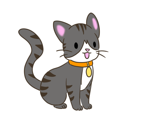 大阪市此花区 犬 猫の適正飼養について 健康 福祉 動物