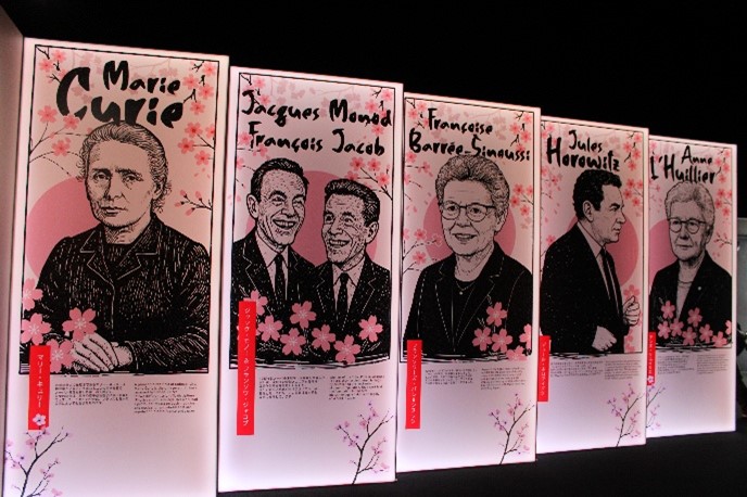 フランス館の「CEAの80年」の展示