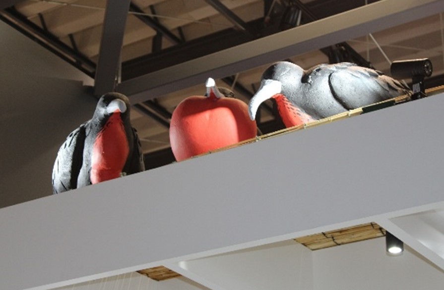 ナウルブースの上に展示されている鳥