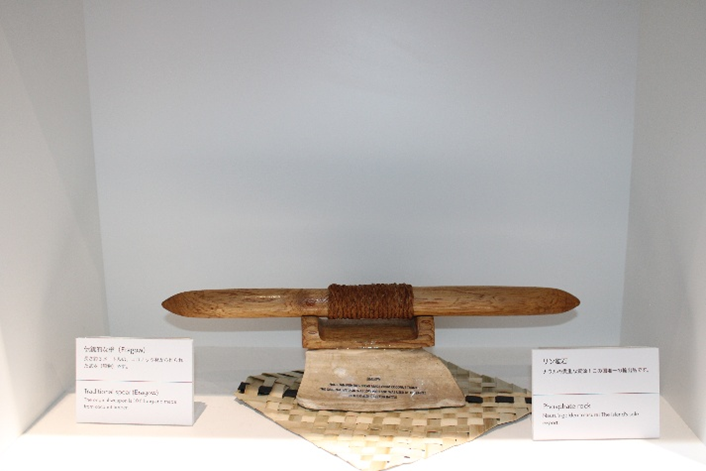 リン鉱石の展示