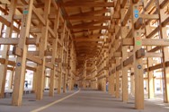 大屋根リングの下