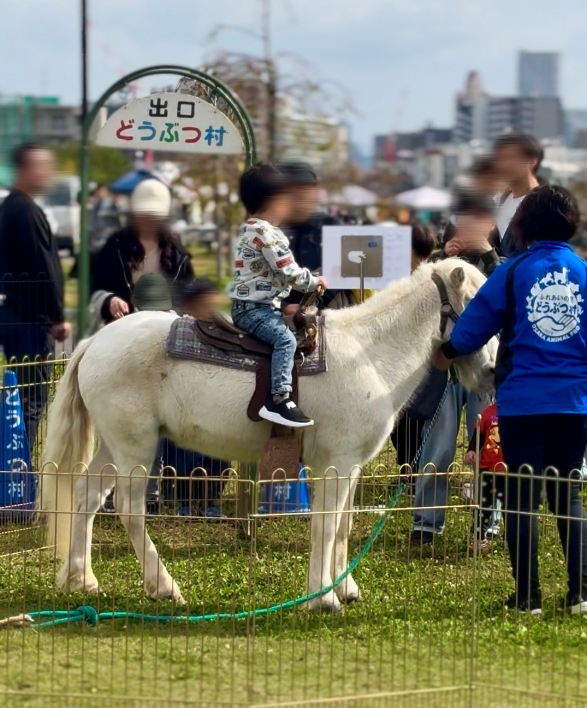 移動動物園の様子