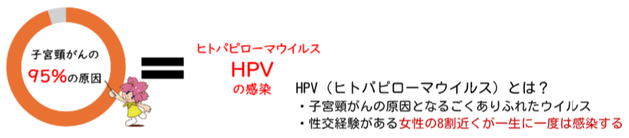 子宮頸がんの95％はヒトパピローマウイルスの感染が原因です