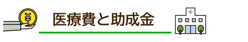 医療費と助成金