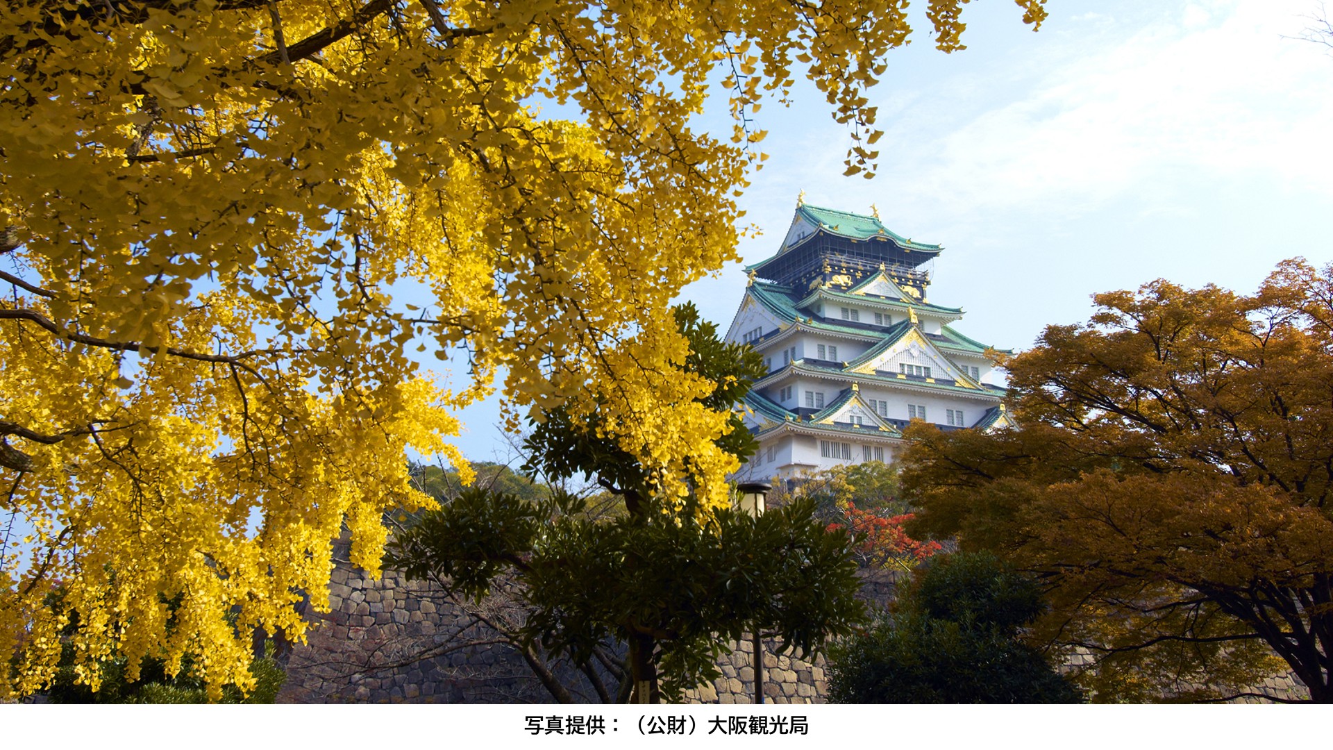 大阪城天守閣周辺の景色