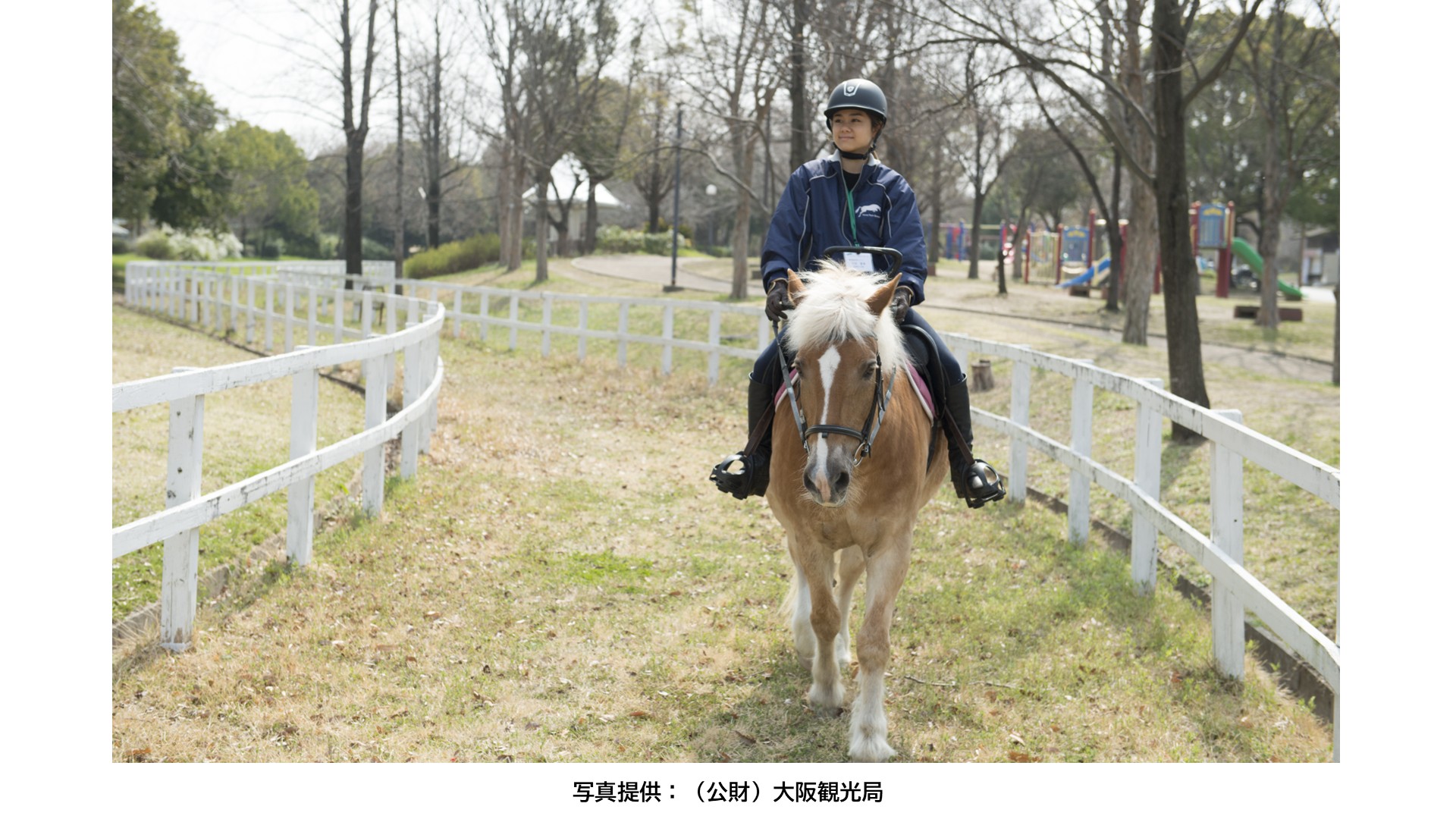 鶴見緑地乗馬苑で乗馬している様子