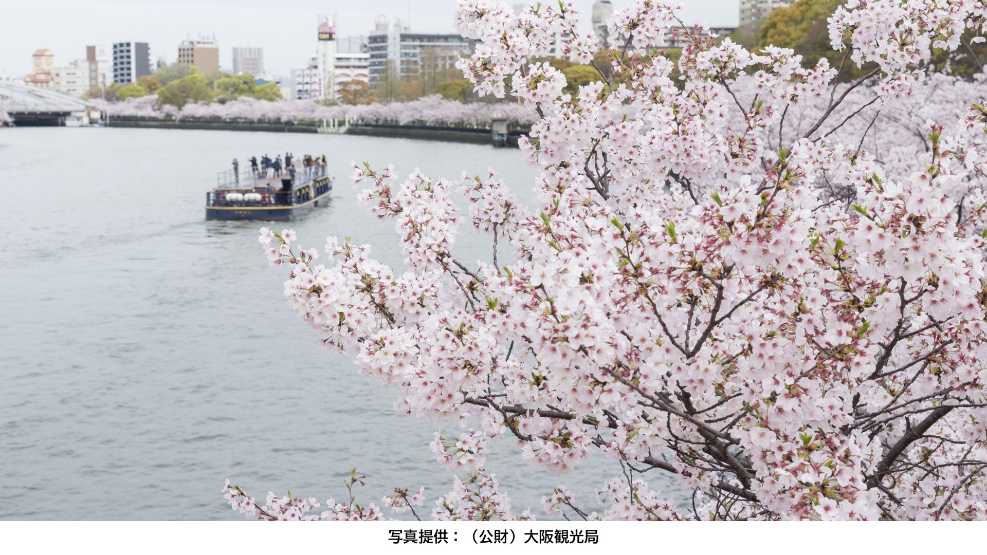 毛馬桜之宮公園の風景