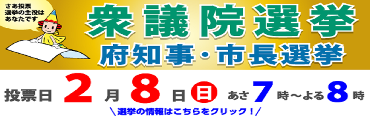 衆議院議員総選挙および国民審査並びに大阪府知事・大阪市長選挙