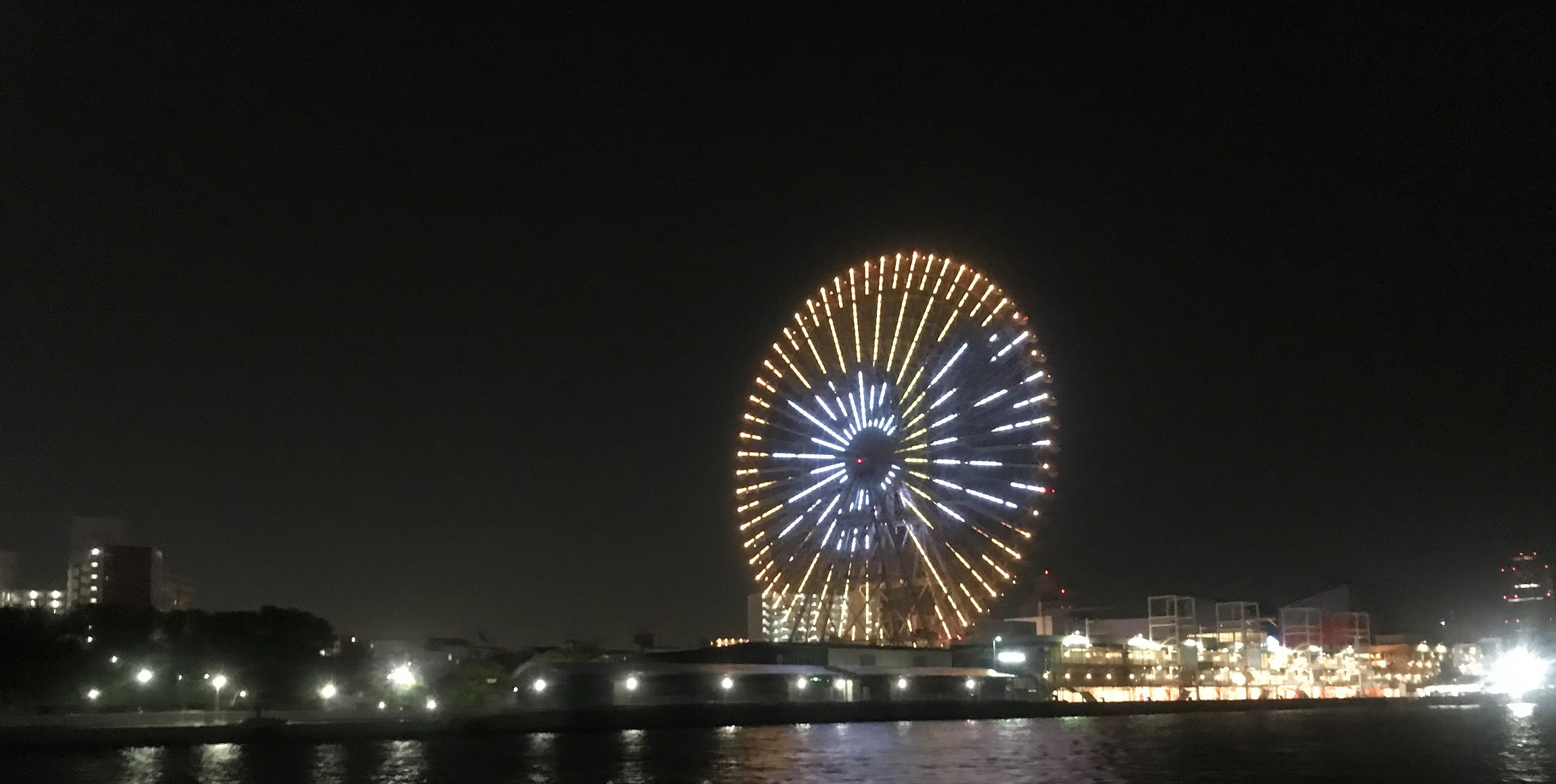 天保山渡船から見た大観覧車