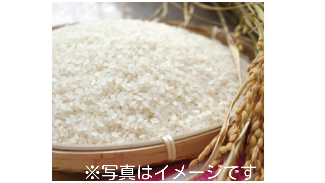 おこめ券