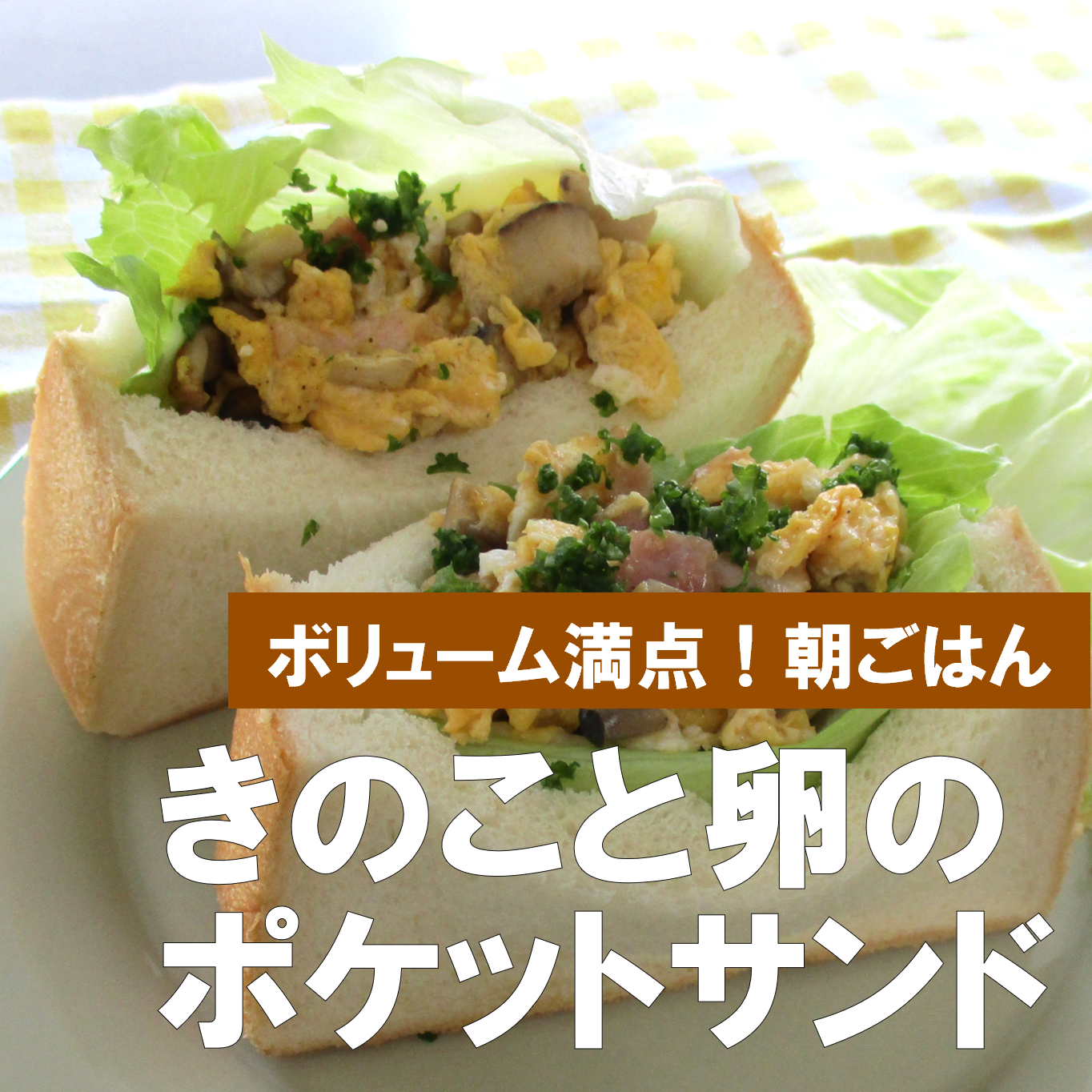 9月健康レシピ