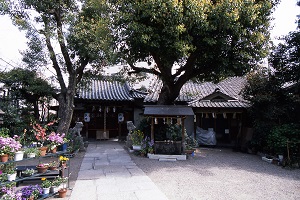 淀川神社の写真