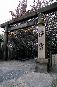 桜宮の写真