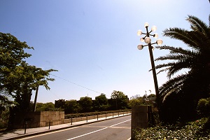 京橋の写真