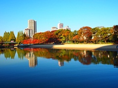 大阪ふれあいの水辺の写真