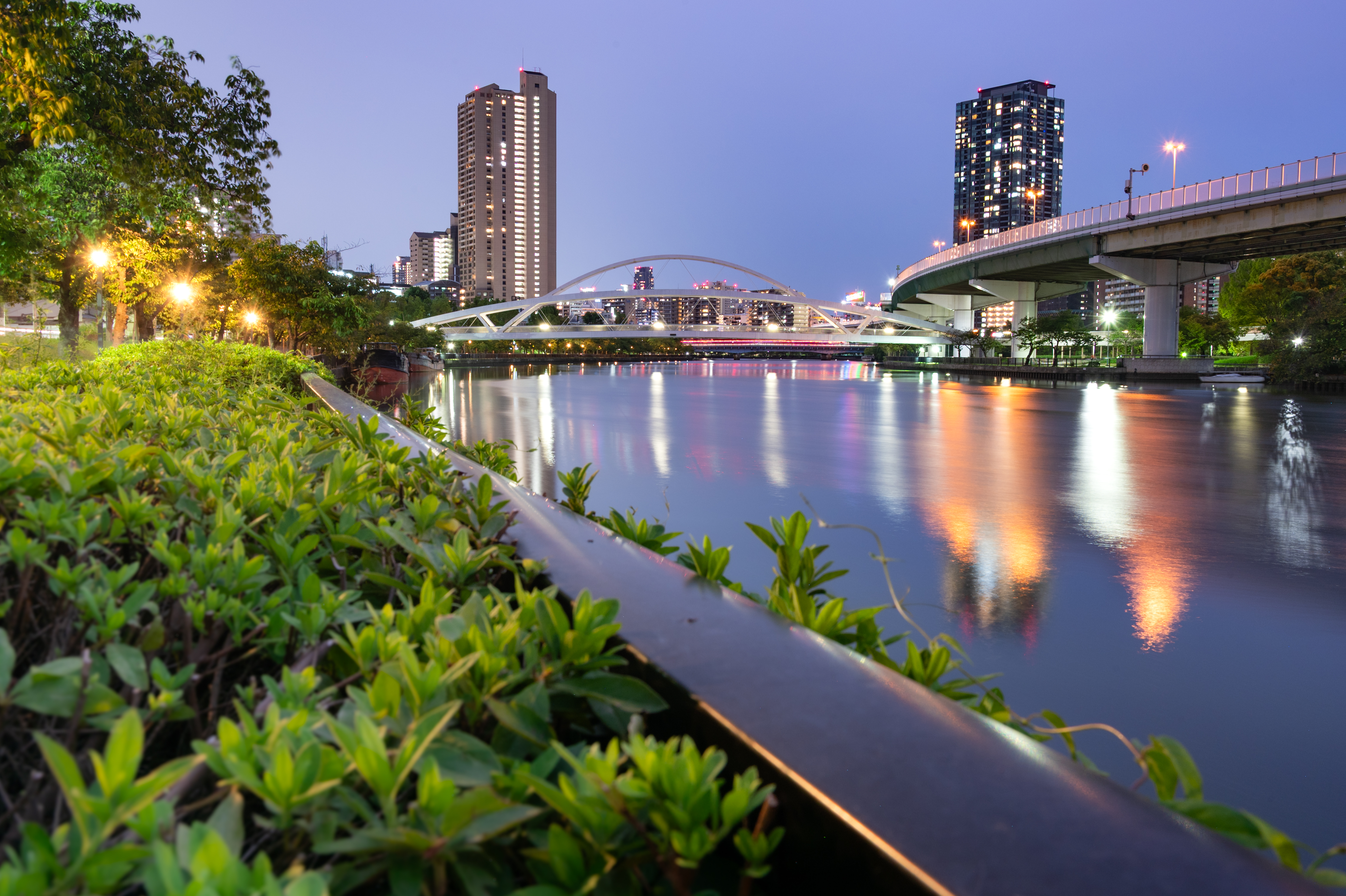 プリント写真部門の一般投票賞の大賞作品