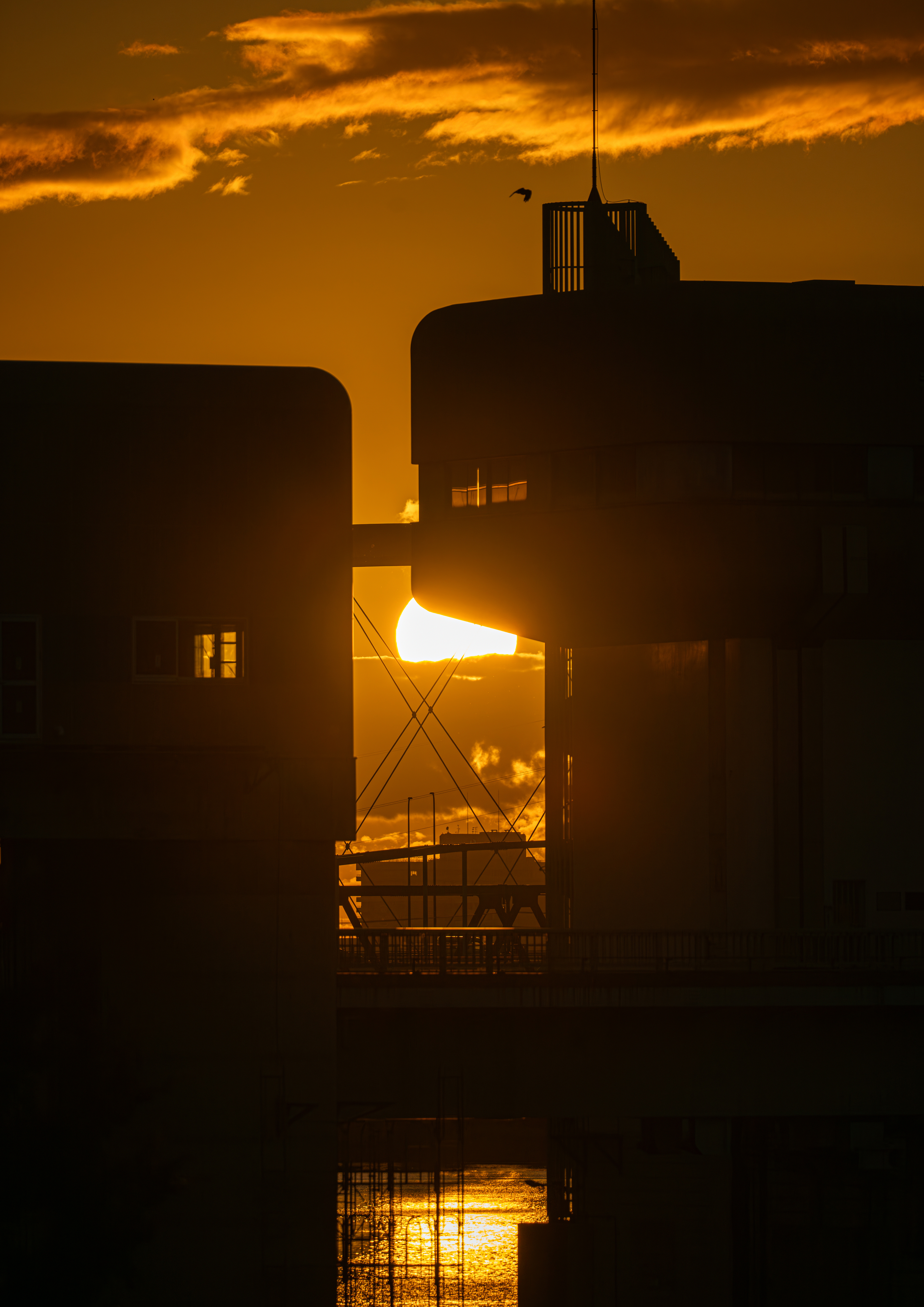 プリント写真部門の特別審査員賞の副賞作品