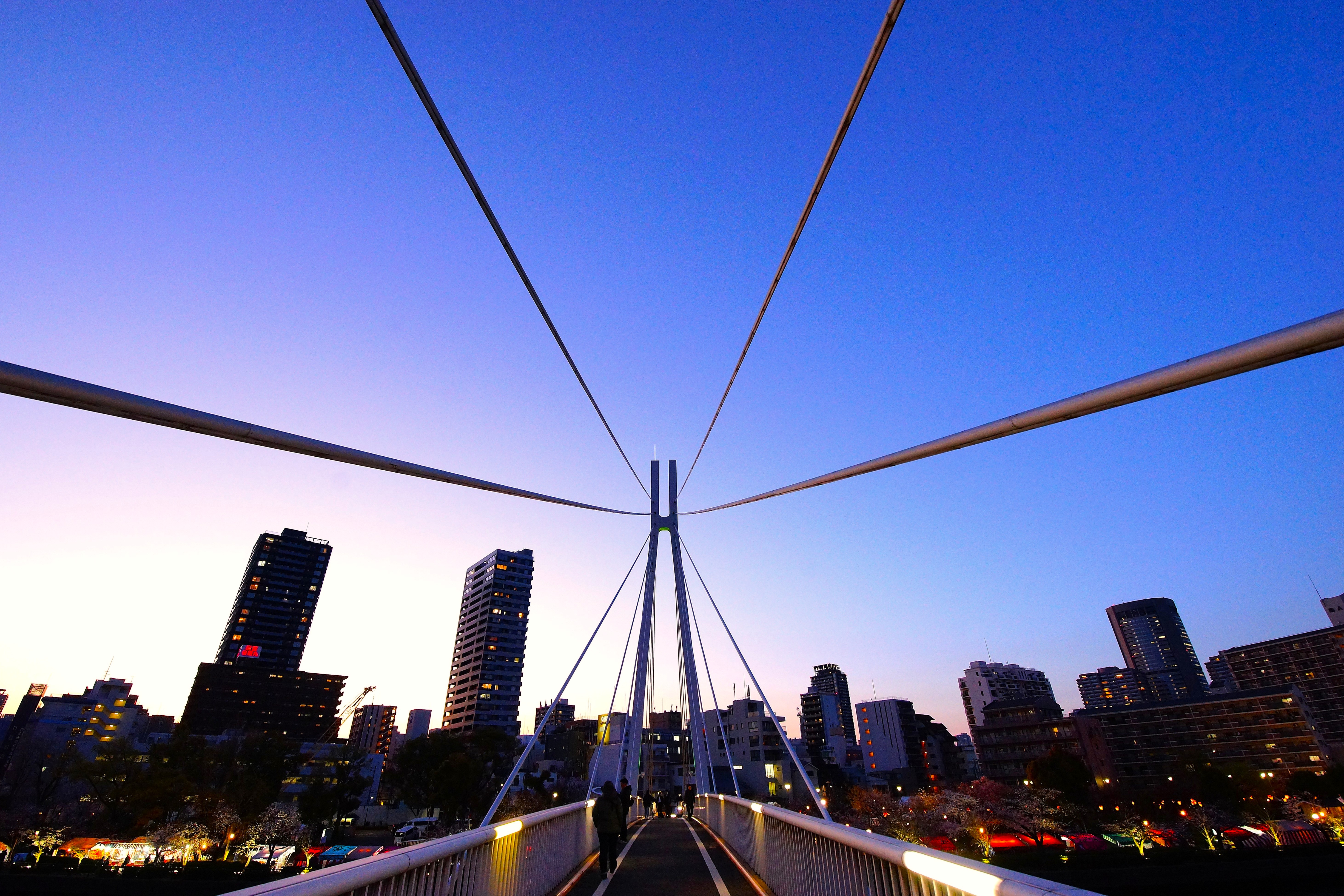 プリント写真部門の特別審査員賞の大賞作品